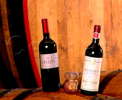 Canneto and Aglianico del Vulture in cellars of   Fratelli dAngelo Canneto is their top wine made   only in the best years and aged in barrique   Rionero in Vulture Basilicata Italy