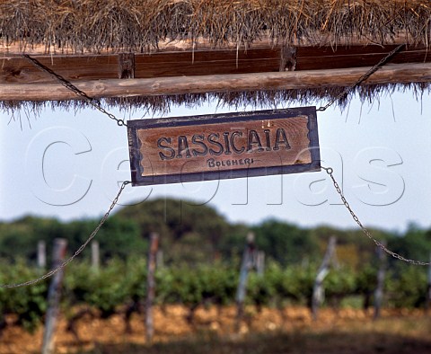 Sign at the vineyard from which Sassicaia was named   So called because of the stony soil    sassi  stones   Tenuta San Guido Bolgheri Tuscany Italy