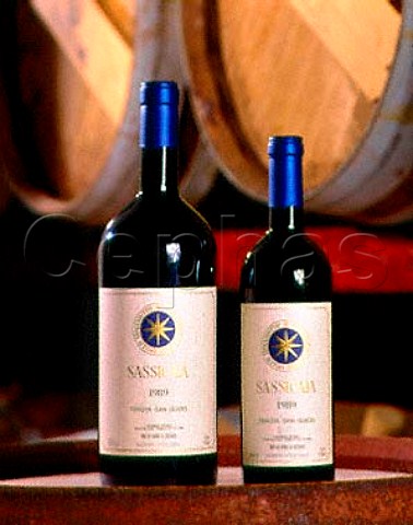 Bottle and magnum of Sassicaia 1989 in the barrique   cellar at Tenuta San Guido Bolgheri Tuscany Italy