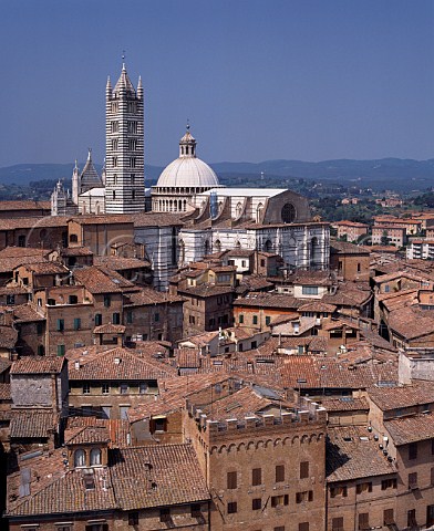 View over the rooftops of Siena to the cathedral   from the bell tower of the town hall Tuscany Italy
