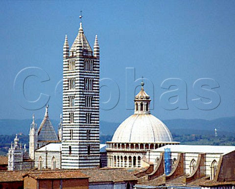 View of the cathedral from the bell tower of the   town hall Siena Tuscany Italy