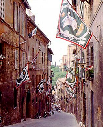 Flags of one of Sienas contrade in their part of   the city   Tuscany Italy