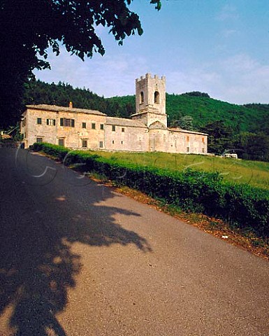 Badia a Coltibuono an 11th century abbey is part   of the estate of Piero StucchiPrinetti and family    Some of Chiantis earliest wine was made here and it   still ranks among the very best