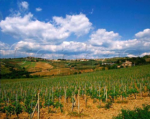 View over the Flaccianello vineyard of Fontodi to   the Golden Shell of Panzano with Panzano in Chianti   beyond It is so called because the vineyards are   shaped like a seashell   Chianti Classico
