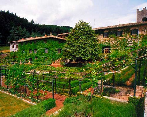 The garden of Badia a Coltibuono An 11thcentury   abbey it is part of the estate of the   StucchiPrinetti family where some of Chiantis   earliest wine was made   Gaiole in Chianti Tuscany Italy