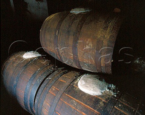 Vin Santo maturing in barrel at the 11th century   abbey of Badia a Coltibuono The barrels are sealed with plaster and left for several years traditionally in the attic next to the roof Tuscany Italy