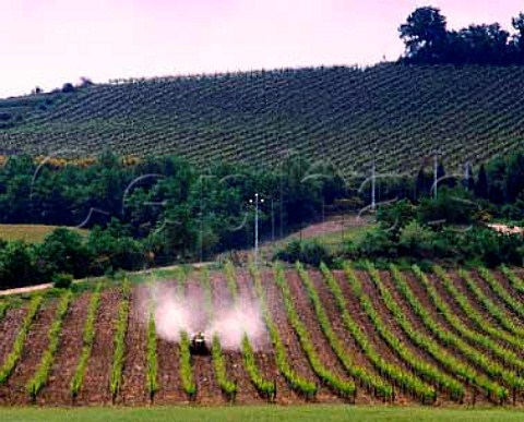 Spraying in vineyards on the hill of Montosoli below Montalcino Tuscany Italy   Brunello di Montalcino