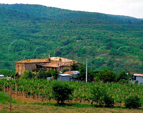 The farmhouse  cellars of Pertimali Livio Sassetti   has 6ha of Brunello vines here on the hill of   Montosoli below the town of Montalcino Tuscany   Brunello di Montalcino