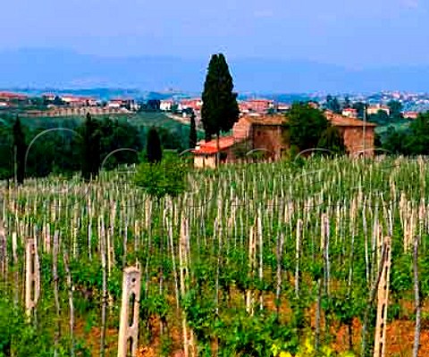 Vineyards and property of Poderi Boscarelli at   Cervognano Montenero with the village of   Acquaviva beyond Tuscany Italy   DOCG Vino Nobile di Montepulciano