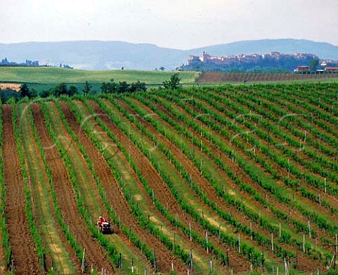 Tractor working in vineyard near Argiano with the   spa town of Chianciano Terme beyond Tuscany Italy   DOCG Vino Nobile di Montepulciano