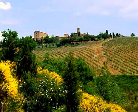 Castello di Volpaia at an altitude of over   600 metres near Radda in Chianti Tuscany Italy   Chianti Classico