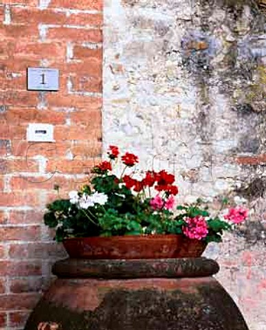 Flowerpot at entrance to courtyard of   Paolo De Marchis house   Isole e Olena Tuscany Italy