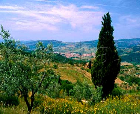 The town of Rufina in the Sieve Valley viewed from   Castiglioni Tuscany Italy     Chianti Rufina