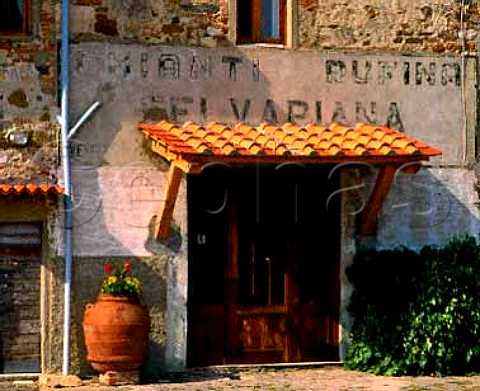 The sales room of Selvapiana on the main road below   the winery Here they sell their Chianti Rufina   olive oil and vinegar  Pontassieve Tuscany Italy