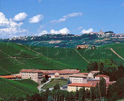 The estate of Fontanafredda with town of Diano   dAlba on the hill beyond Piemonte Italy Barolo
