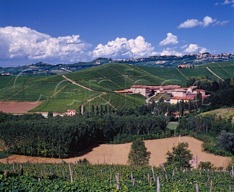 The estate of Fontanafredda with town of   Diano dAlba on the hill beyond   Piemonte Italy   Barolo