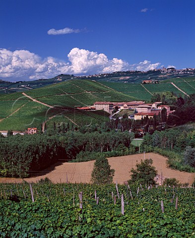 The Fontanafredda estate near Serralunga dAlba with town of Diano dAlba on the ridge in distance Piemonte Italy Barolo