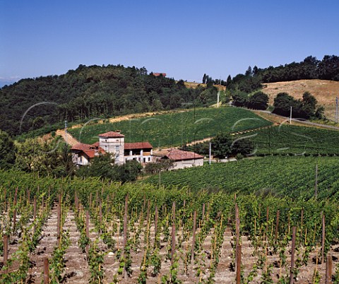 Farm and vineyards near Gavi Piemonte Italy   Gavi