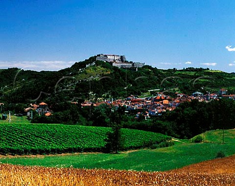 Town of Gavi with its Genoese fort on the hilltop   Gavi is a white wine made from the Cortese grape