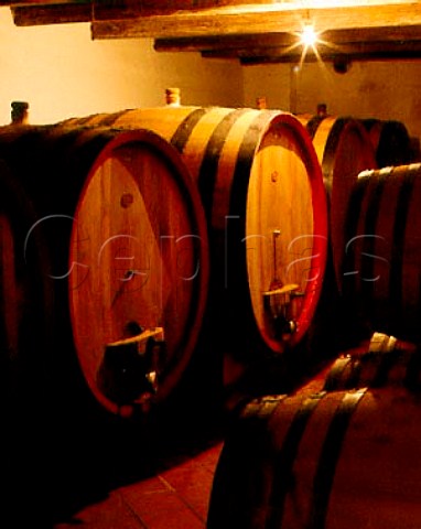 Botti and barriques in the cellars of   Roberto Voerzio La Morra Piemonte Italy   Barolo