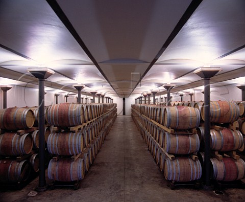 The barrel cellar of Ornellaia   Bolgheri Tuscany Italy