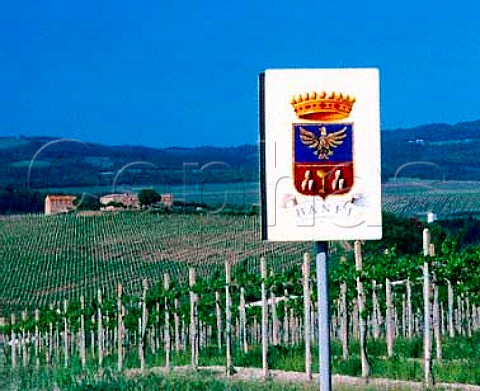 Vineyard and sign of Villa Banfi at Tavernelle near   Montalcino Tuscany Italy     Brunello di Montalcino