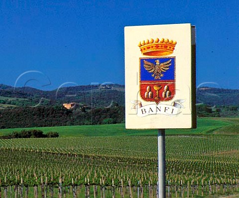 Vineyard and sign of Villa Banfi at Tavernelle near   Montalcino Tuscany Italy     Brunello di Montalcino etc