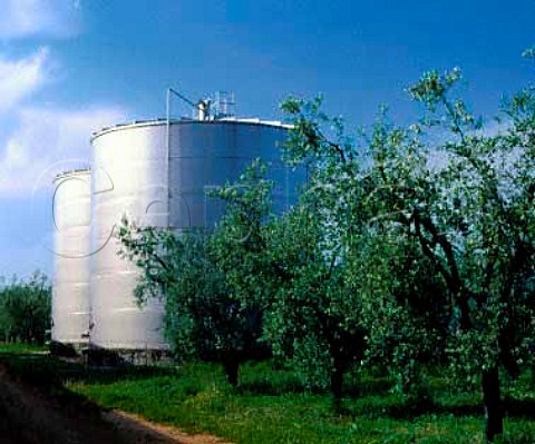 Stainless steel tanks and olive trees of   Casale del Giglio   Borgo Montello Lazio Italy   DOC Aprilia