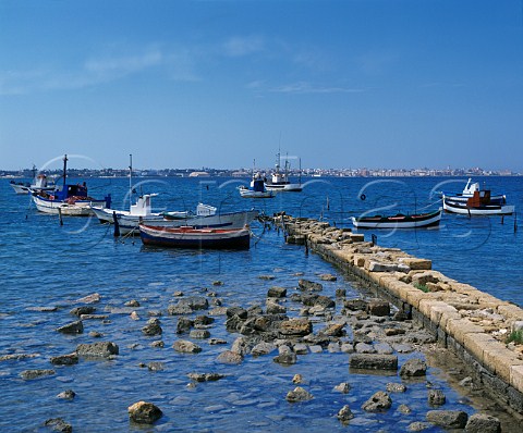 Fishing boats moored near Marsala   Trapani province Sicily