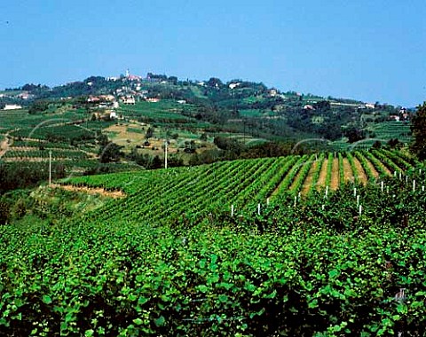 View over vineyards at Oslavia to San Floriano del   Collio Friuli Italy Collio Goriziano