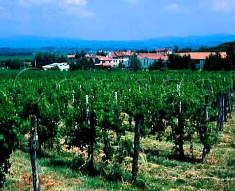 Vineyard and buildings of Silvio Jermann at Villanova  di Farra Friuli Italy Collio