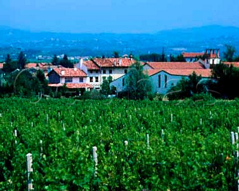 Vineyard and buildings of Silvio Jermann Villanova   di Farra Friuli Italy Collio