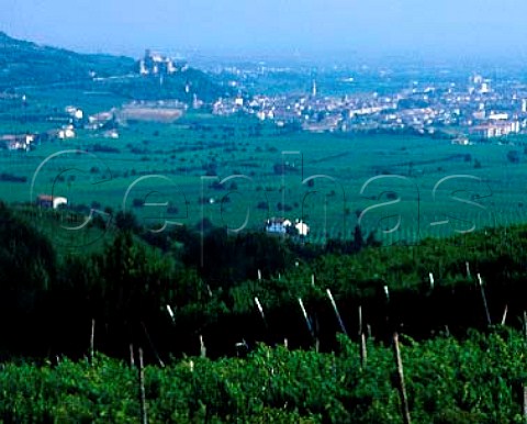 Soave and its castle viewed over vineyards in the   Classico zone to the north   Veneto Italy