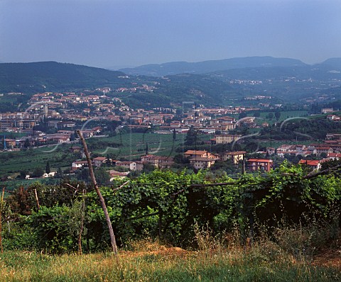 View over Negrar Veneto Italy Valpolicella Classico  Amarone