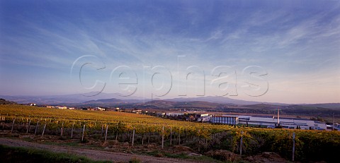 Villa Banfi winery and vineyard at SantAngelo Scalo Tuscany Italy   Brunello di Montalcino