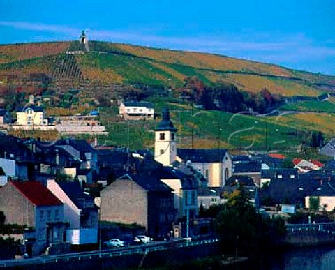 Vineyards above the town of Wormeldange and the   Moselle River Luxembourg