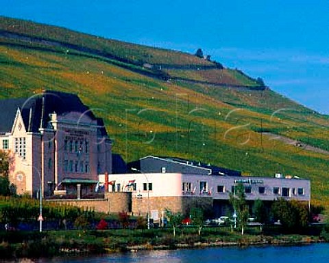 Vineyards above the Wormeldange Cooperative and the   Moselle River Luxembourg