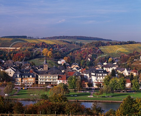 Vineyards above the town of Ehnen and the Moselle  River Luxembourg