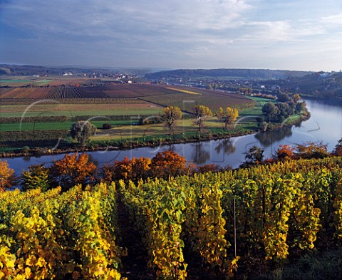 View over vineyards near Greiveldange in Luxembourg   across the Moselle River to those around Palzem in   Germany