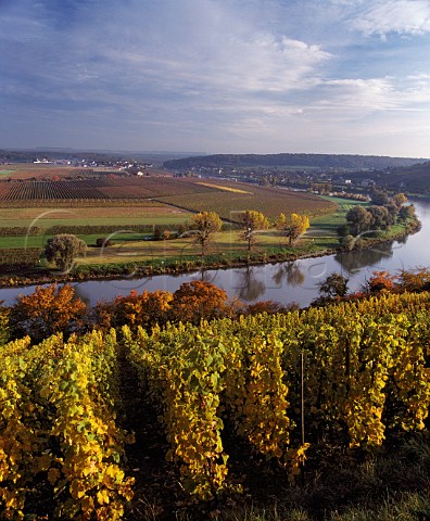 View over vineyards near Greiveldange in Luxembourg across the Moselle River to those around Palzem in Germany