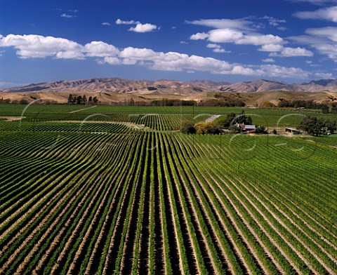 Montana Brancott Estate Vineyards Marlborough New Zealand  