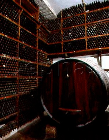 Wine cellar of the Buaco Palace Hotel   Buaco  Portugal