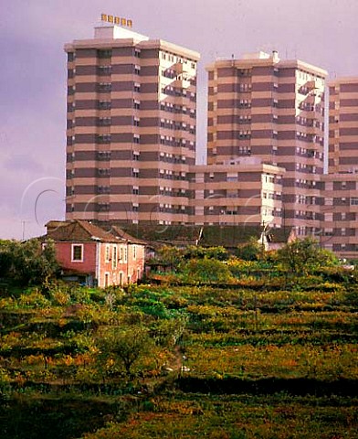 Vineyard and hotel blocks at Vila Real Portugal   TrasosMontes