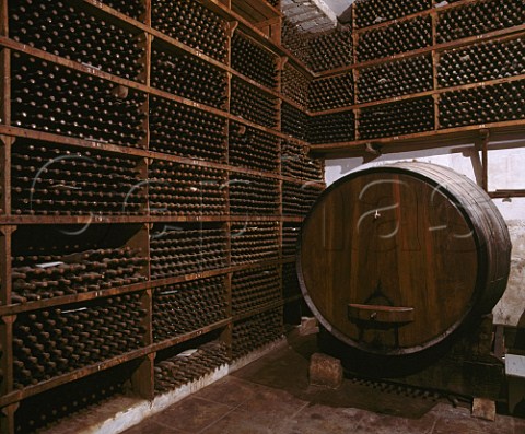 Bottles ageing in the wine cellar of the   Buaco Palace Hotel Portugal