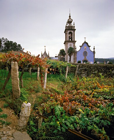 Church and pergola trained vineyard at Barrocas near Monao Minho Portugal   Vinho Verde