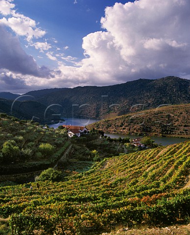 Taylors Quinta de Vargellas high in the Douro Valley east of Pinho Portugal    Port
