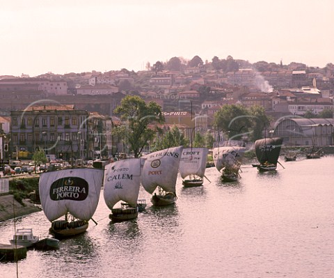 Barcos Rabelos moored on the Douro River at   Vila Nova de Gaia were formerly used for bringing  barrels of Port down river from the quintas high up the valley     Portugal