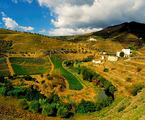 Ferreiras Quinta do Seixo left above the   Rio Torto a tributary of the Douro The rows of the   latest vineyards run up and down the slope   Pinhao   Portugal    Douro  Port
