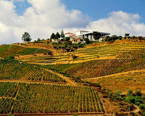 Ferreiras Quinta do Seixo above the Rio Torto a   tributary of the Douro The rows of the latest   vineyards run up and down the slope known as Vinha   ao Alto  Pinho Portugal   Port