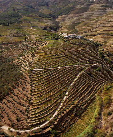 Quinta do Bom Retiro owned jointly by   Port shippers Ramos Pinto and the Serodio family who sell grapes to the Symington group for Warres port  Near Pinho Portugal  Port